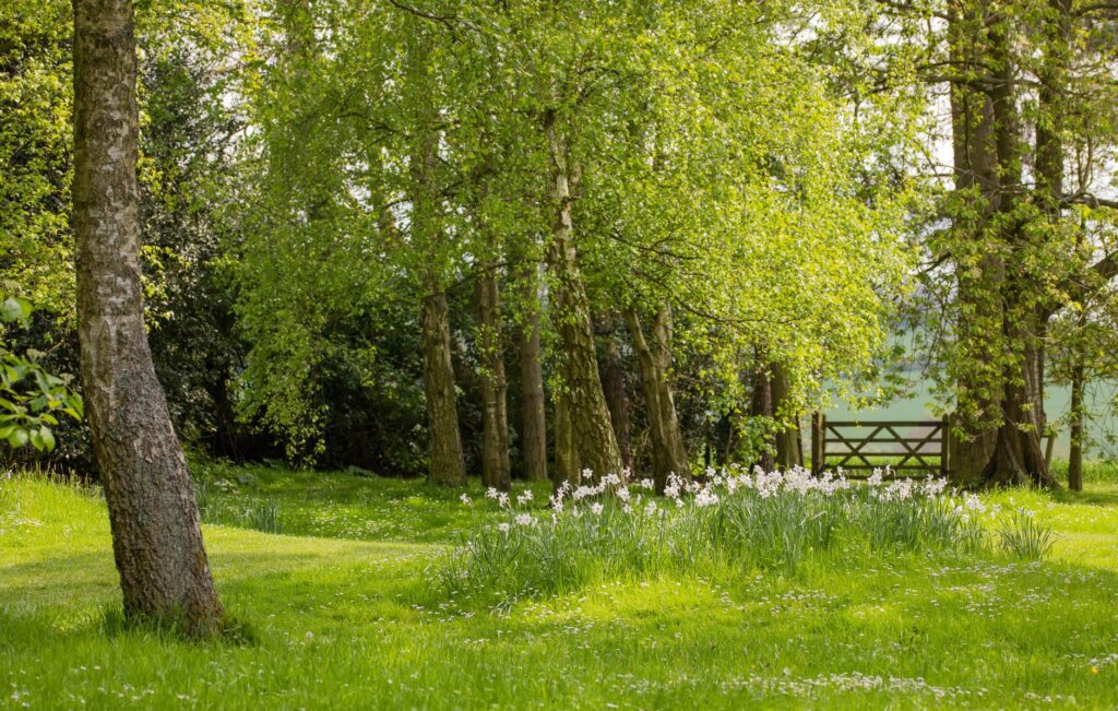 Peaceful spring landscape of a garden in England, featuring lush greenery and wildflowers.