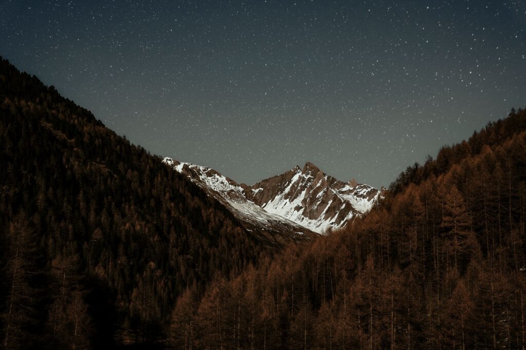 A breathtaking view of snowcapped mountains under a starry night sky, surrounded by dense forest.