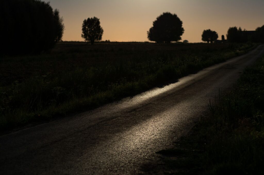 Peaceful rural scene with a winding road and silhouetted trees at dawn, highlighting the natural countryside beauty, an image for What Is the Purpose of Life