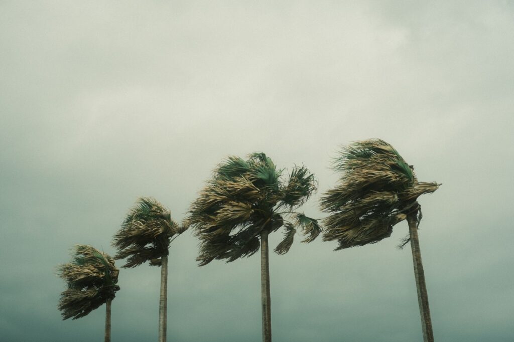 Palm trees bending under strong winds and cloudy skies during a tropical storm, an image for How Can a Rational Person Believe in the Unseen