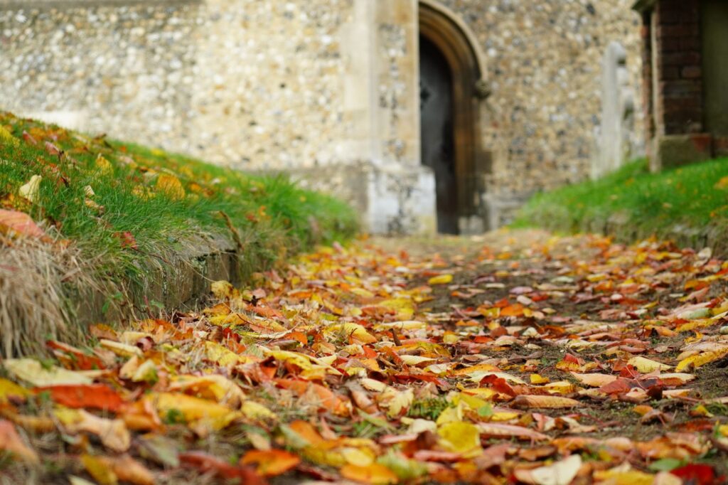 Colorful autumn leaves on a path leading to a historic castle entrance.