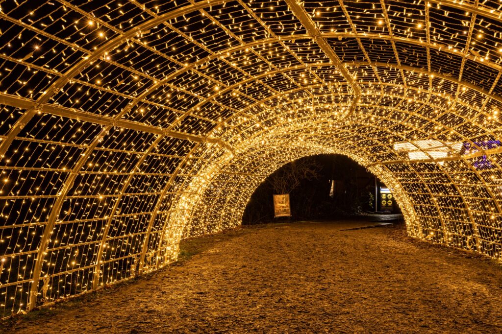 A mesmerizing tunnel of yellow LED lights creating a glowing archway at night, an image for Near-Death Experiences: Evidence for What