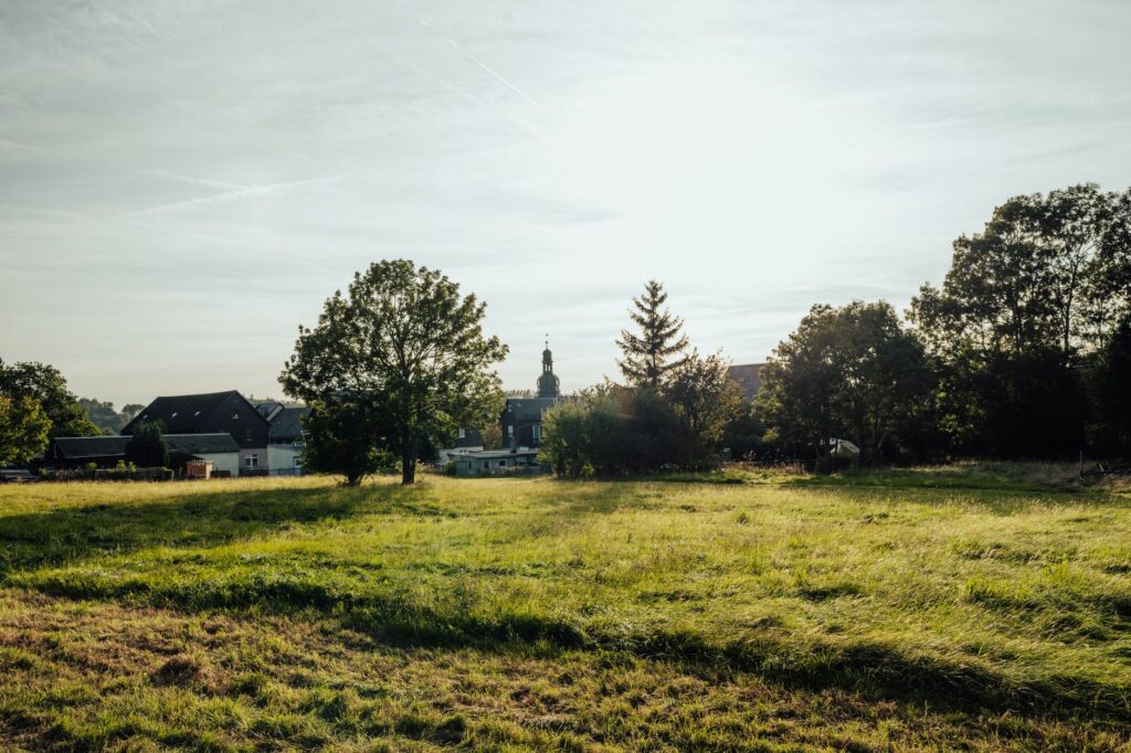 A serene view of a rural landscape featuring lush grass, trees, and distant houses under the morning sun.
