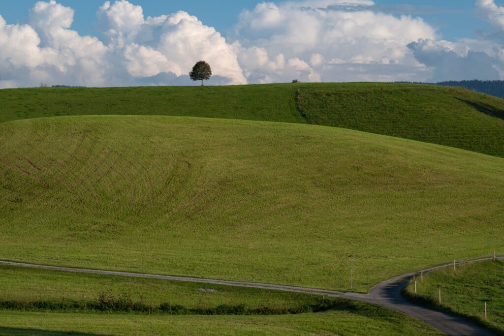 A lone tree stands on lush green hills against a backdrop of dramatic clouds.