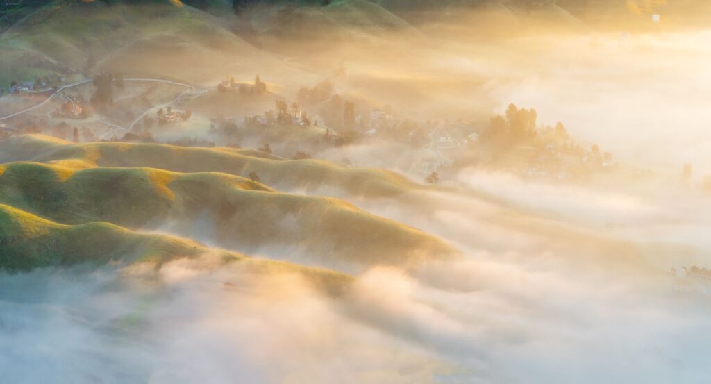 Golden mist envelops rolling hills and valleys in a tranquil sunrise scene.