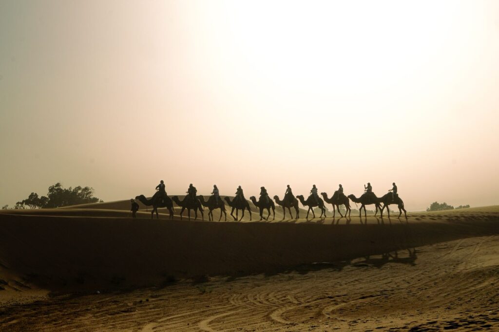 Camel caravan silhouetted against a stunning sunset on the sandy dunes.