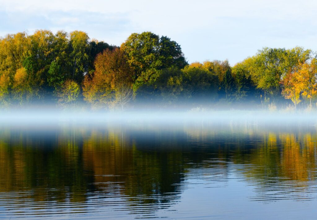Tranquil lake scene with autumn colors, fog, and reflections, capturing a calm and peaceful atmosphere.