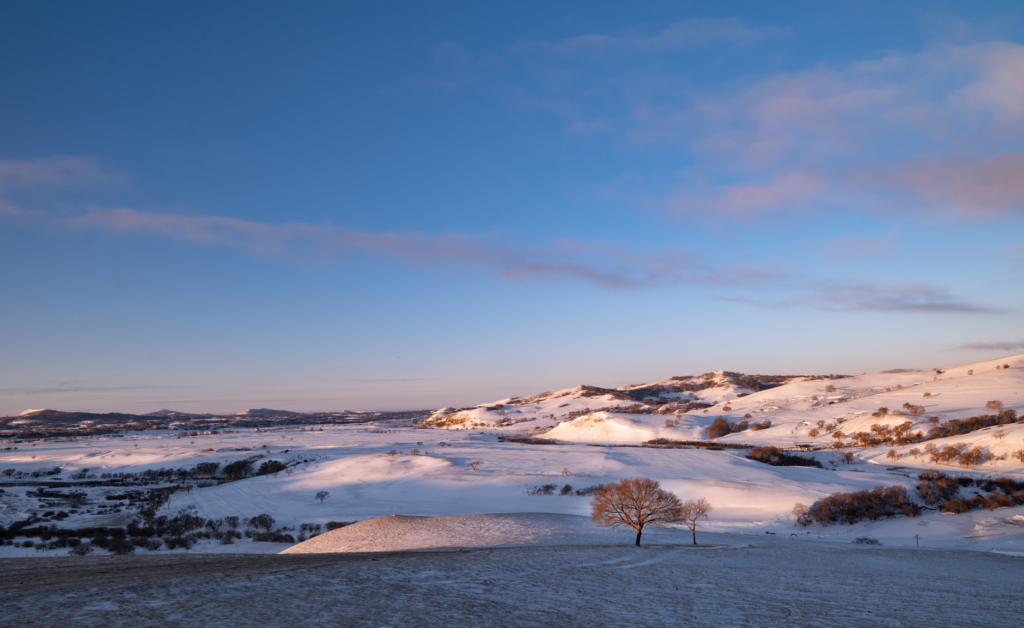 Serene snowy hills and a lone tree under a vibrant sunrise sky.