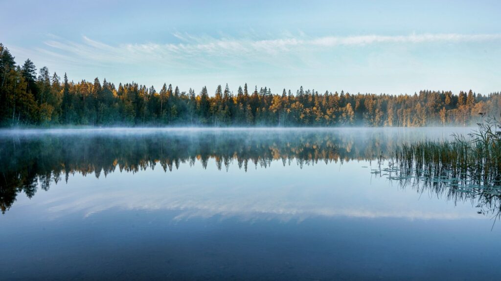 A tranquil Finnish lake reflects the forest and morning mist at sunrise, an image for Jinn, Mental Illness and Islam: Does Islam Blame Jinn