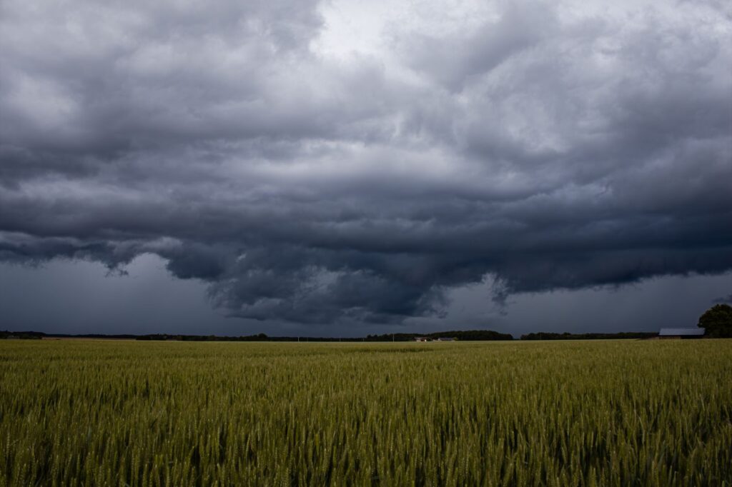 A powerful storm approaches, casting dark clouds over a vast rural wheat field.