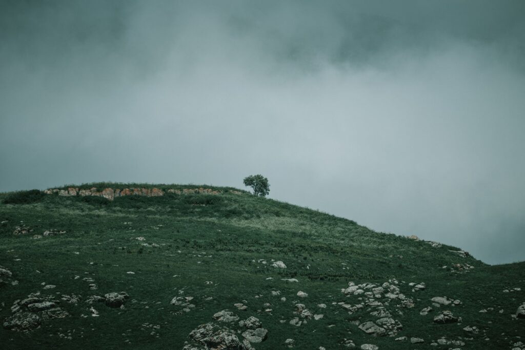 A solitary tree stands on a foggy hilltop in the Chechen Republic, Russia, creating a serene landscape.
