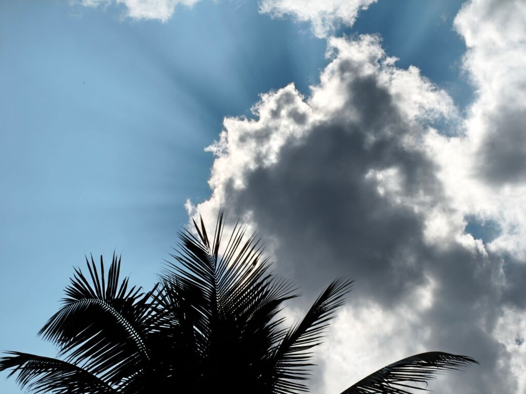 Sunlight rays break through clouds over palm trees in Silchar, India. Captivating nature scene.