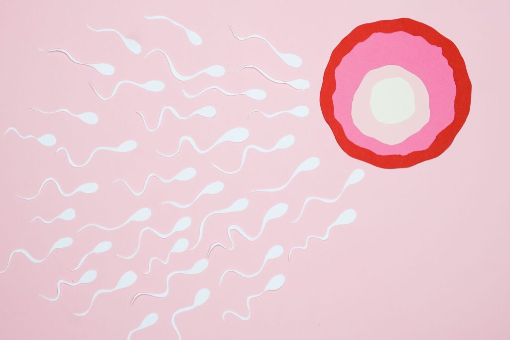 Artistic representation of sperm cells swimming towards an egg on a pink background, illustrating fertilization, an image for What About Scientific Miracles In The Quran