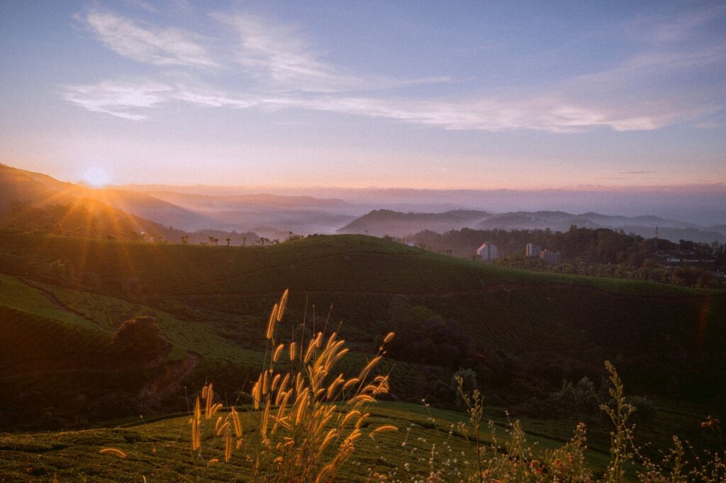 Captivating sunrise over lush green hills with a golden glow, perfect for serene nature lovers.
